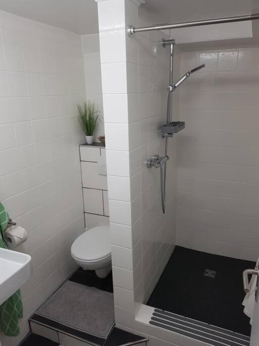 Luxem Ferienwohnung Bela, Naehe Nuerburgring מראה חיצוני תמונה